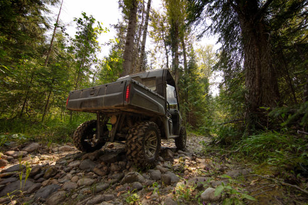 UTV navigating off road trail in dence forest.